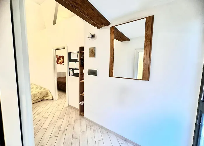Domus Carolina